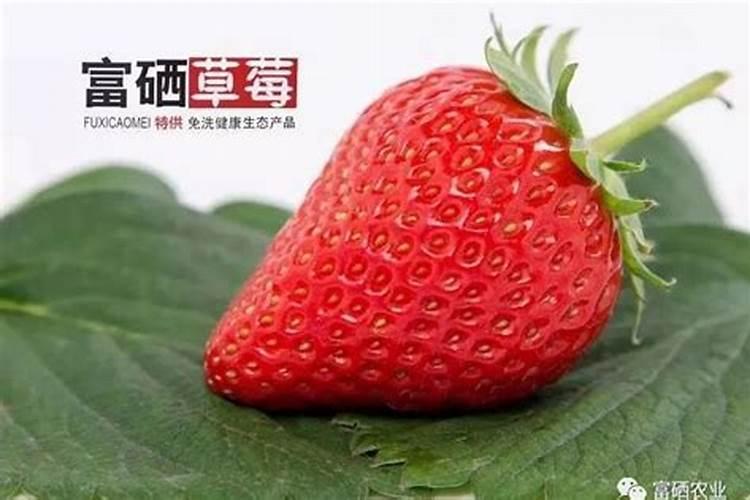 一个塑料瓶怎么做小喷壶