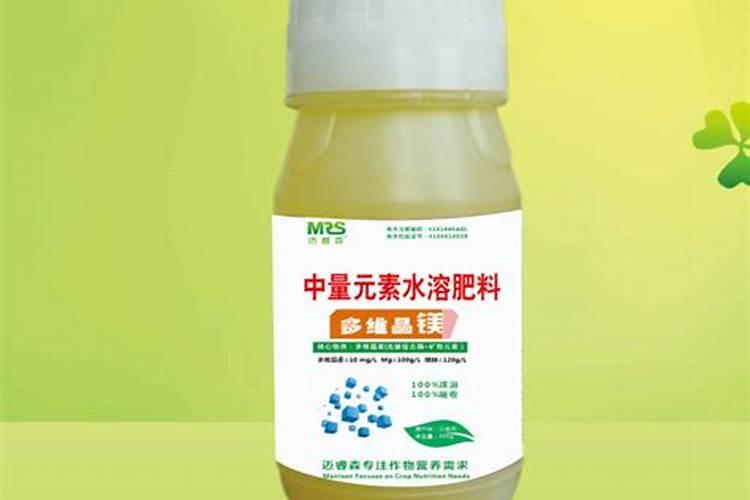 黄桷兰叶子发黄怎么办(黄桷兰叶子边缘烧焦怎么办)