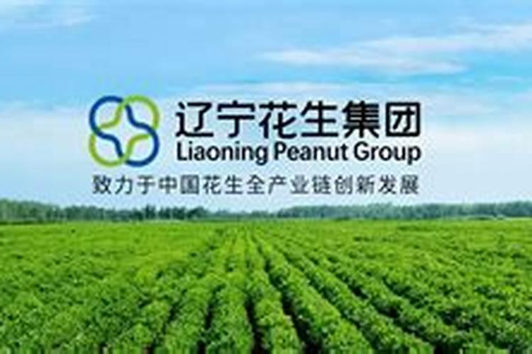花生用什么叶面肥好 附种植方法
