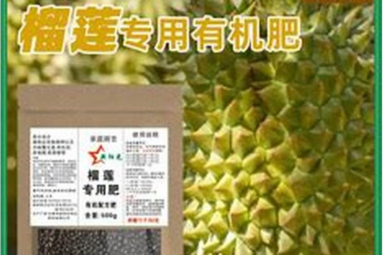 水果之王榴莲种植方法介绍!