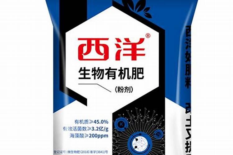 怎么给西洋杜鹃施肥？