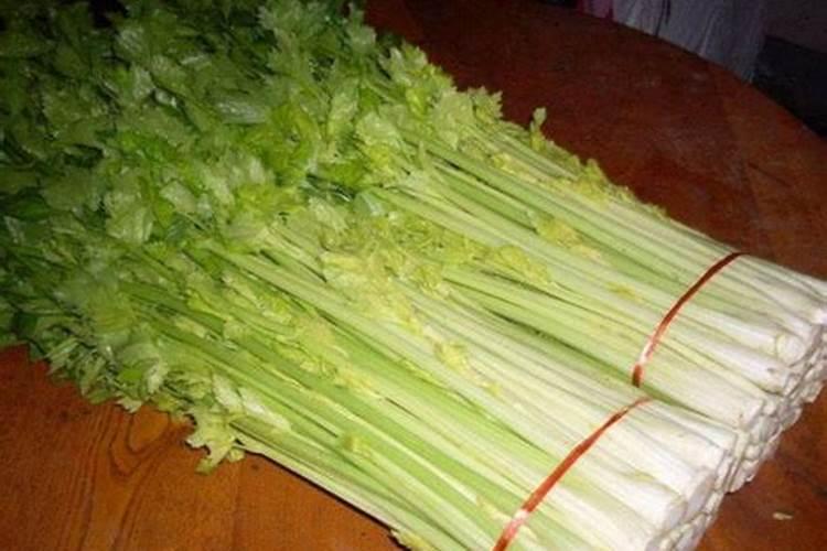 喷什么叶面肥芹菜长得快