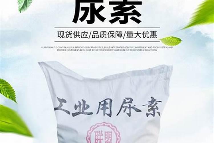 什么是有机肥和氮肥