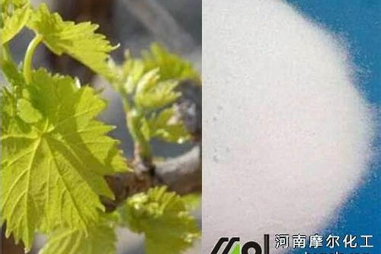 含氯复合肥一般不能使用在哪些作物和土壤中 含氯复合肥的优缺点