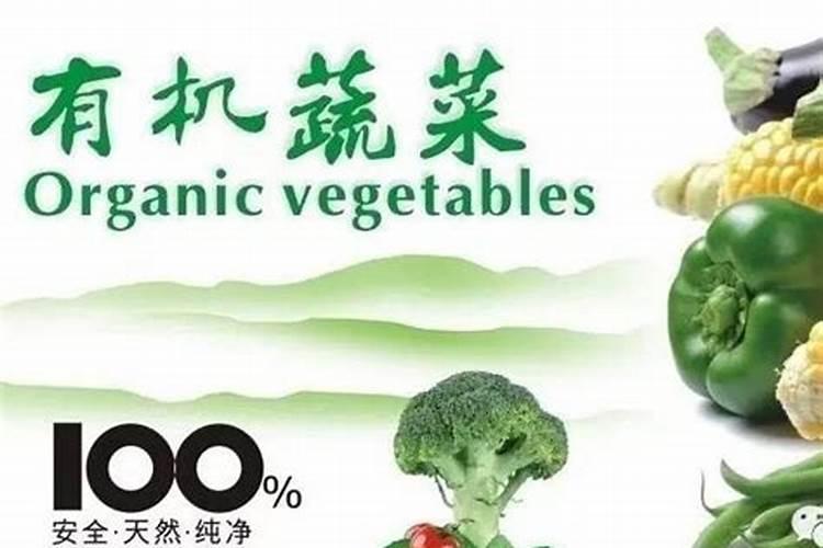 不用施肥的蔬菜