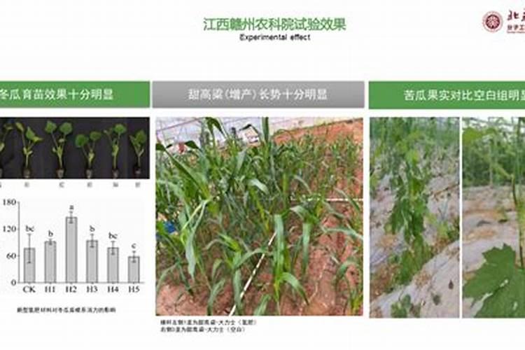 肥料增效剂一般有哪些