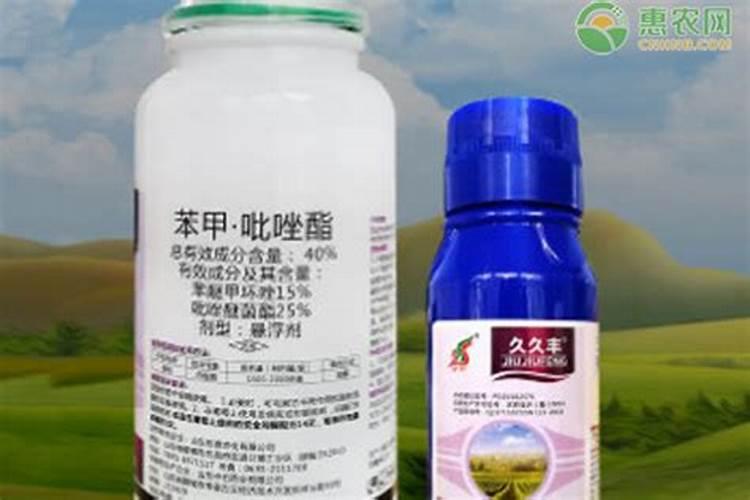 土豆疮痂病用什么药防冶