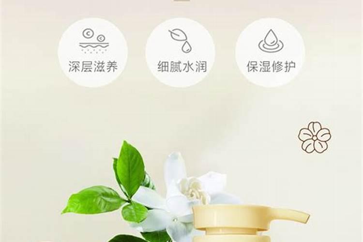 如何养茶梅花