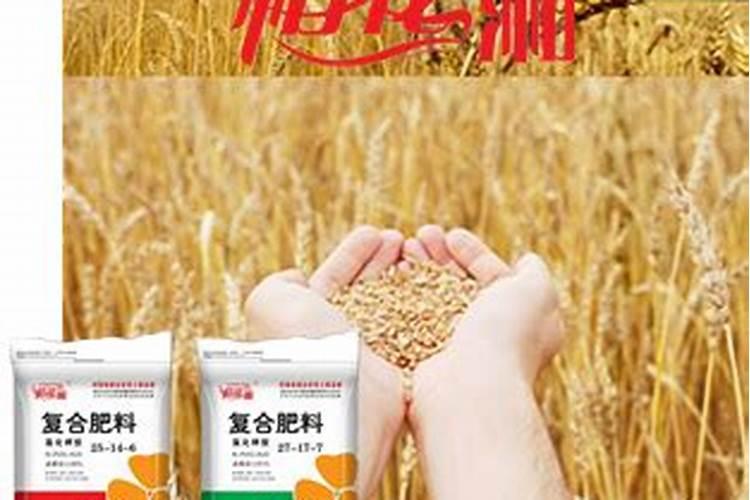 鄂中有机肥在哪里生产的？