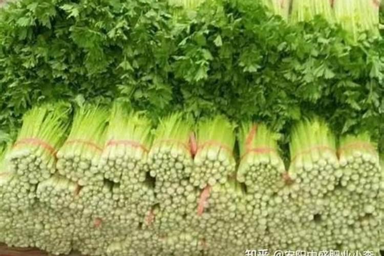 种百香果隔多少天施一次肥