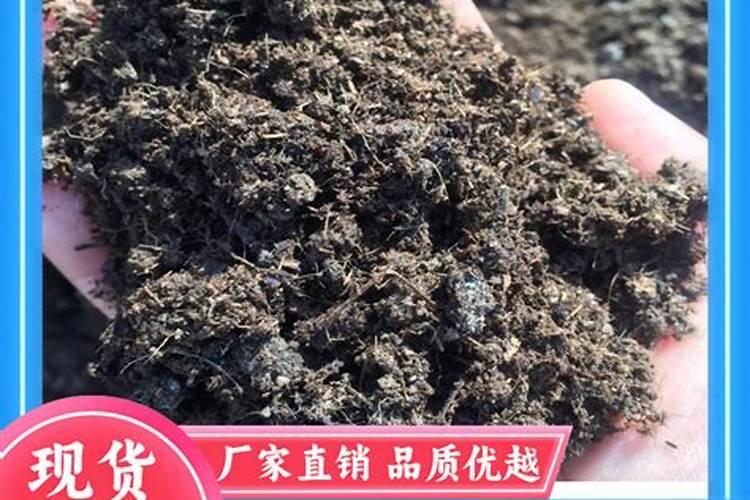 松土肥料有哪些,疏松土壤用什么肥料