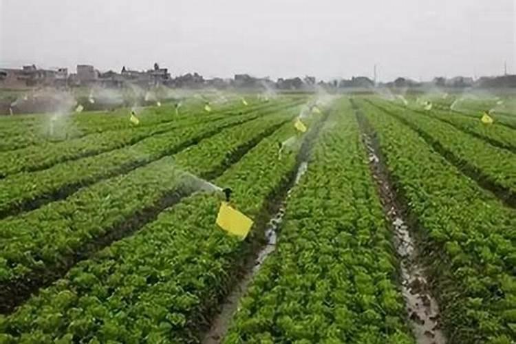 大红甲腐植酸水溶肥料都适合什么用？