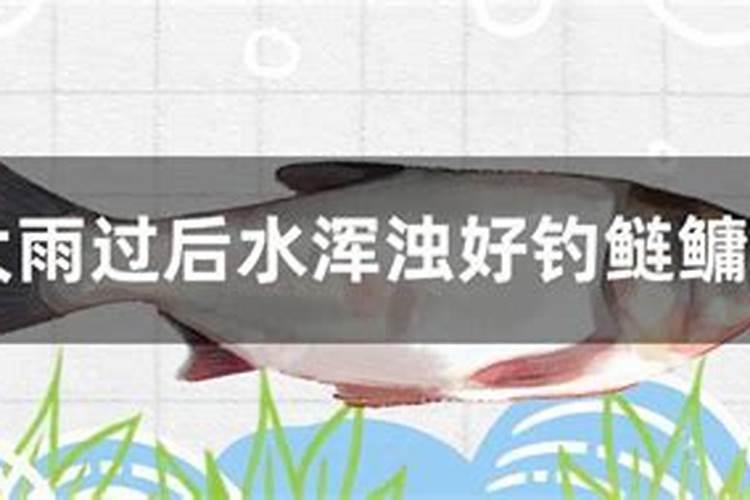 如何防治棉花枯黄萎病