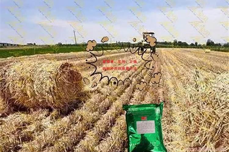 冀少版七年级下册生物提纲