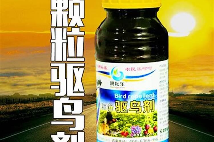 常用的杀虫剂还有哪些？如何使用