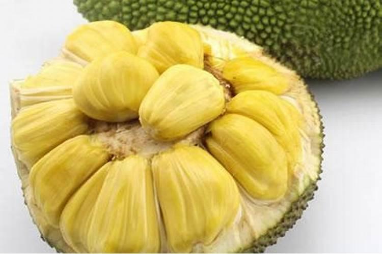 菠萝蜜花期要施什么肥