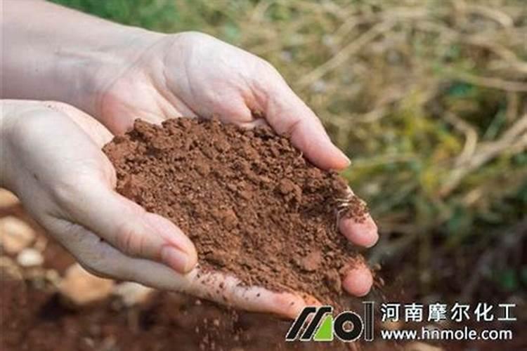 鱼蛋白灌根几天见效