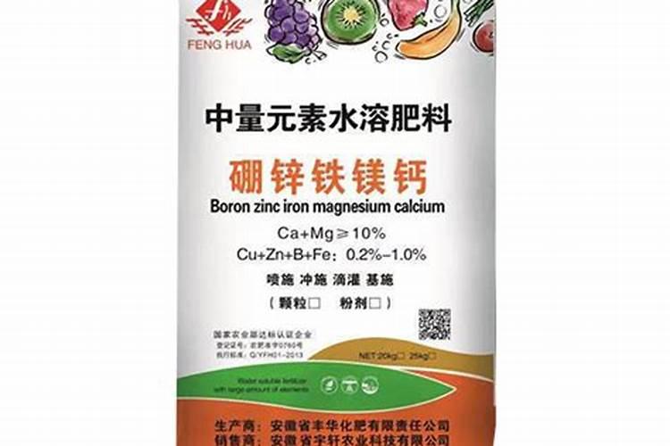 精哺力的价格怎么样,贵不贵？