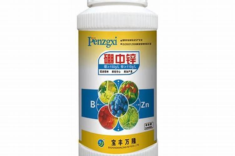 文竹施什么肥,用什么土壤好？