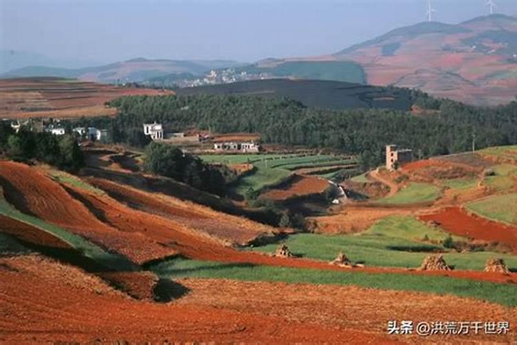 果树什么时期施用钾肥最合适