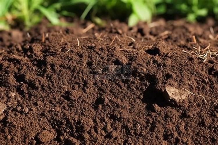 农村的高钾肥是什么肥料