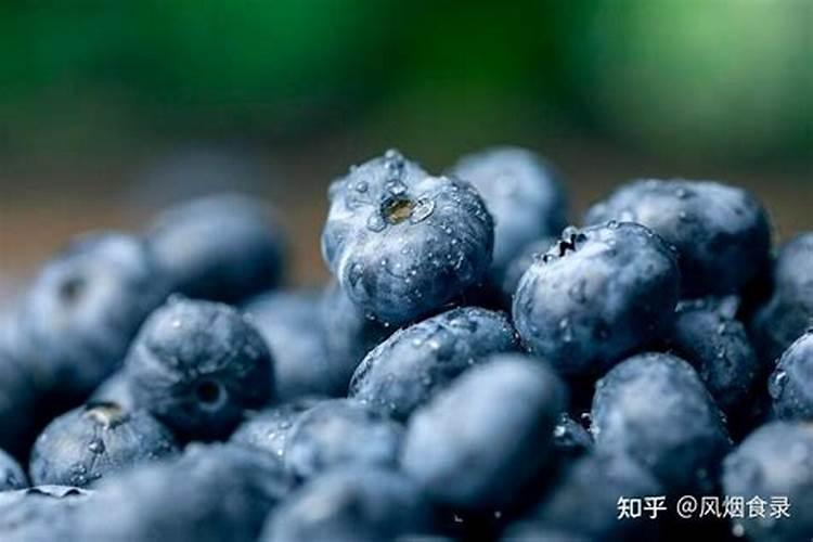 蓝莓用什么肥料好