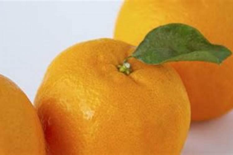 桔子树用什么肥料最好