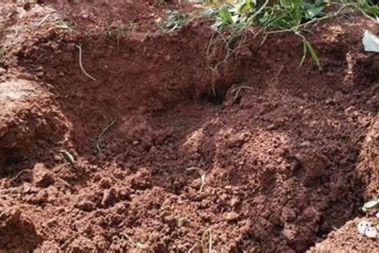 水溶肥的颜色不一样是怎么回事