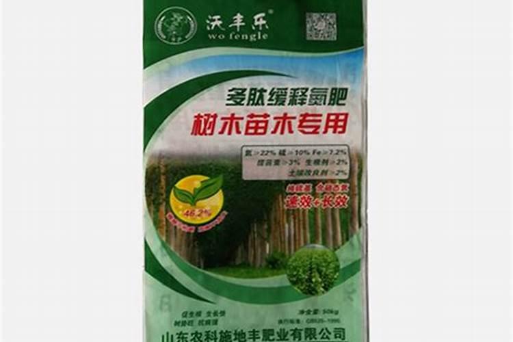杨树苗施肥的最佳时间施什么肥生长更旺盛