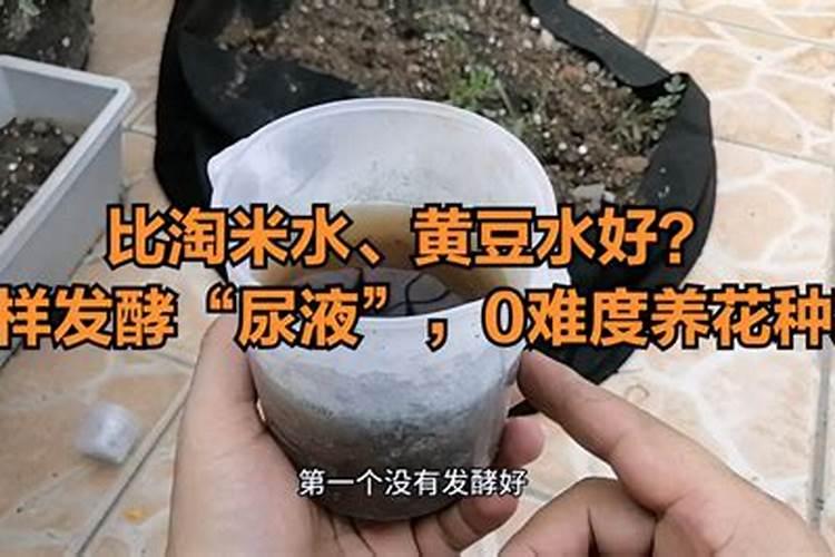 第一年葡萄小苗施什么肥(刚种葡萄苗用什么肥料长得快)