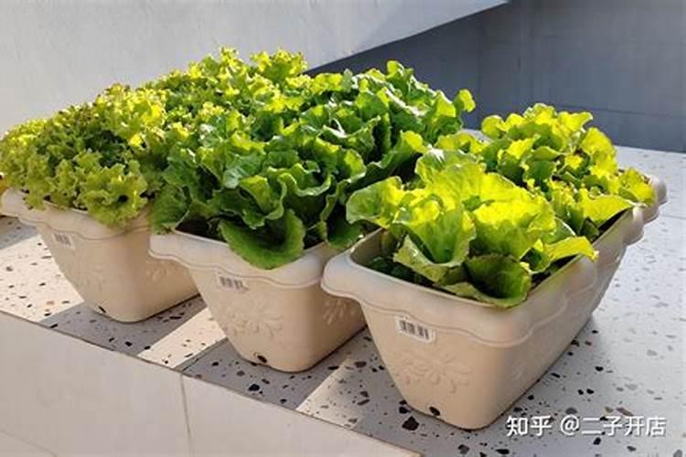 波卡西堆肥液可以继续发酵吗