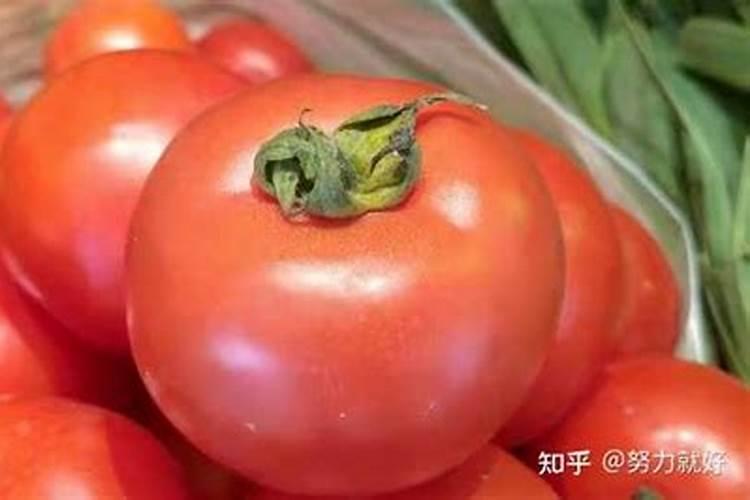 西红柿怎么施肥