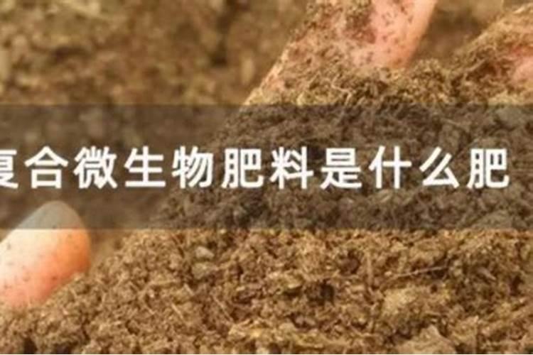 养花根烂掉是什么原因施肥过量烧根怎样补救