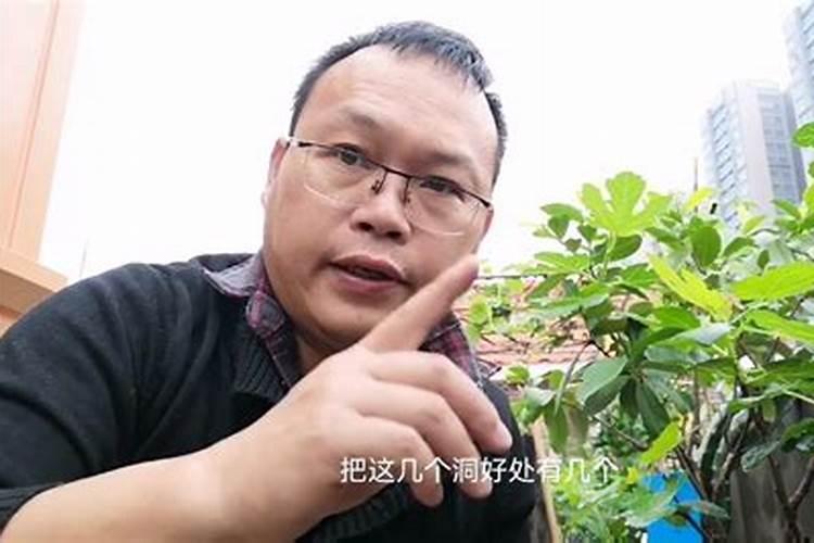 才下过大雨,却看到葱农忙着施肥浇水,这是怎么回事？