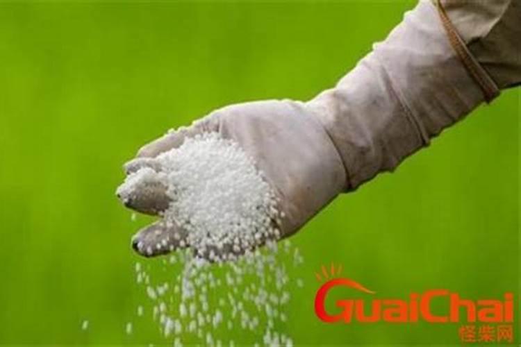 草坪肥料的种类有哪些