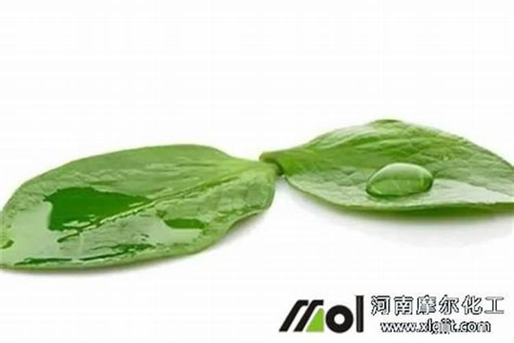玉米苗期喷什么叶面肥