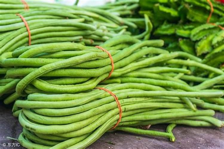 豆角施肥技巧都有哪些？如何让豆角结荚多,品质高？