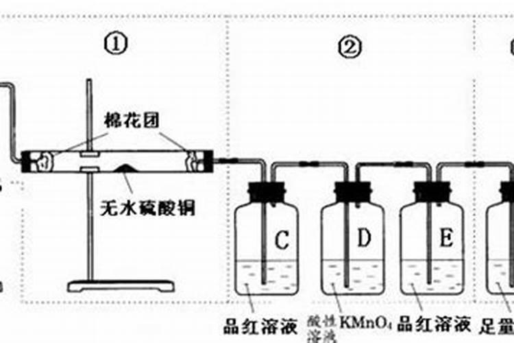 烧烤木炭灰可以种菜吗
