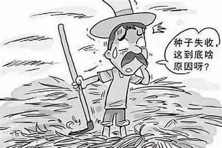 水培栀子花怎样生根快