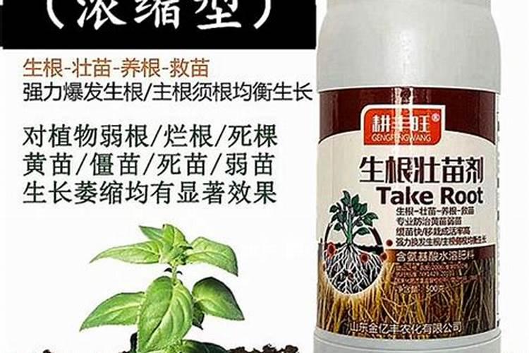 生根肥料有哪些 钾肥的作用是什么