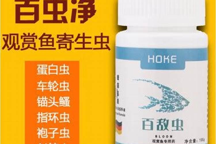 鱼缸蛋白虫怎么处理
