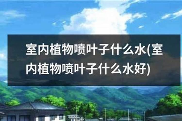 雪碧可以浇花吗 雪碧应该如何浇花