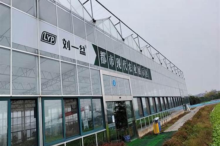 生活中哪些是有机磷钾肥