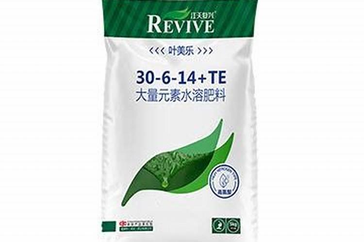 新买金边瑞香栽培方法