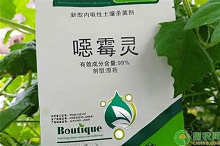 复合肥撒施技巧