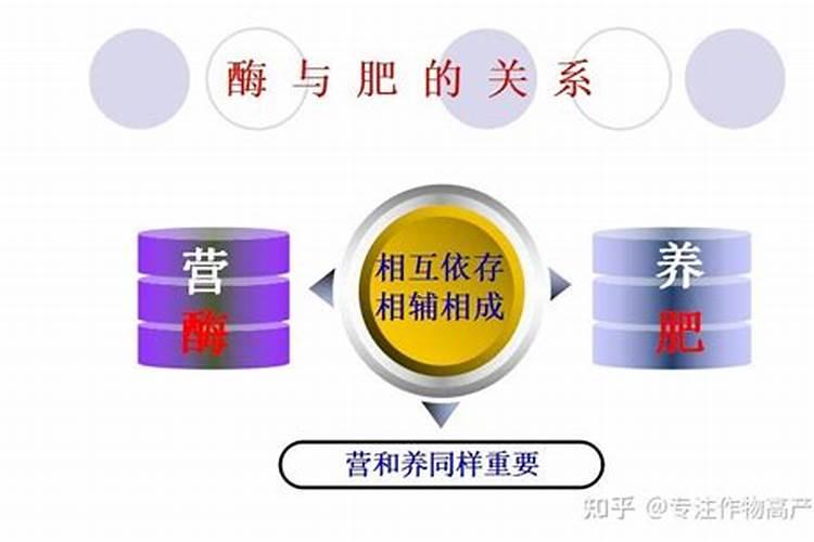 荆门市地立修生物科技有限公司怎么样？