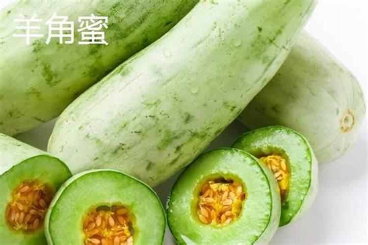 小球藻有什么作用