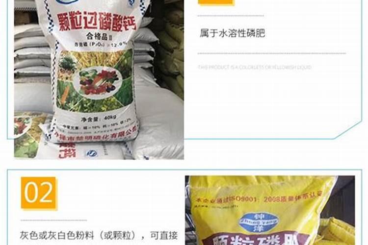 哪月季花用什么肥好