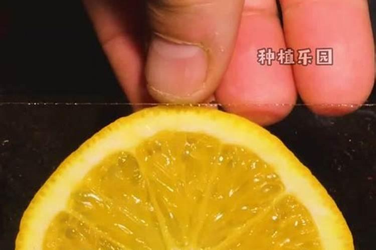 新鲜的橙子皮埋在土里做肥料吗？