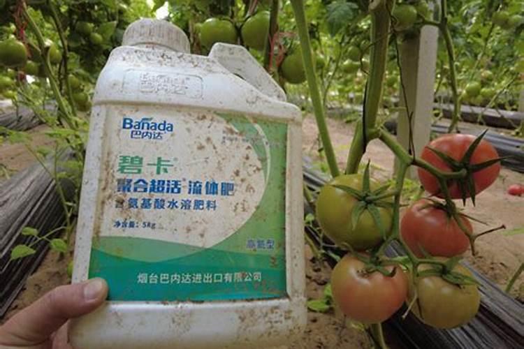 水溶肥和液体肥有什么区别